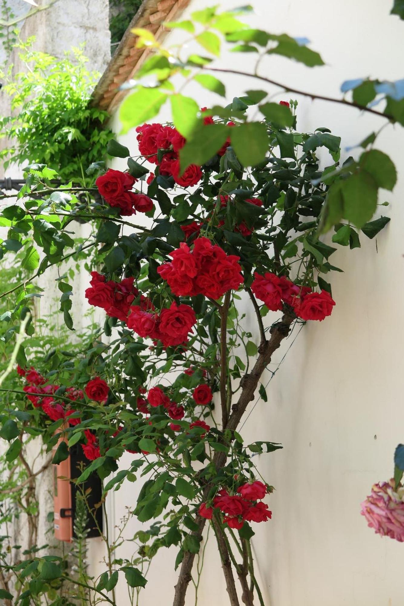 그라나다 Charming Albaicin Patio Flat Free Onsite Parking 아파트 외부 사진
