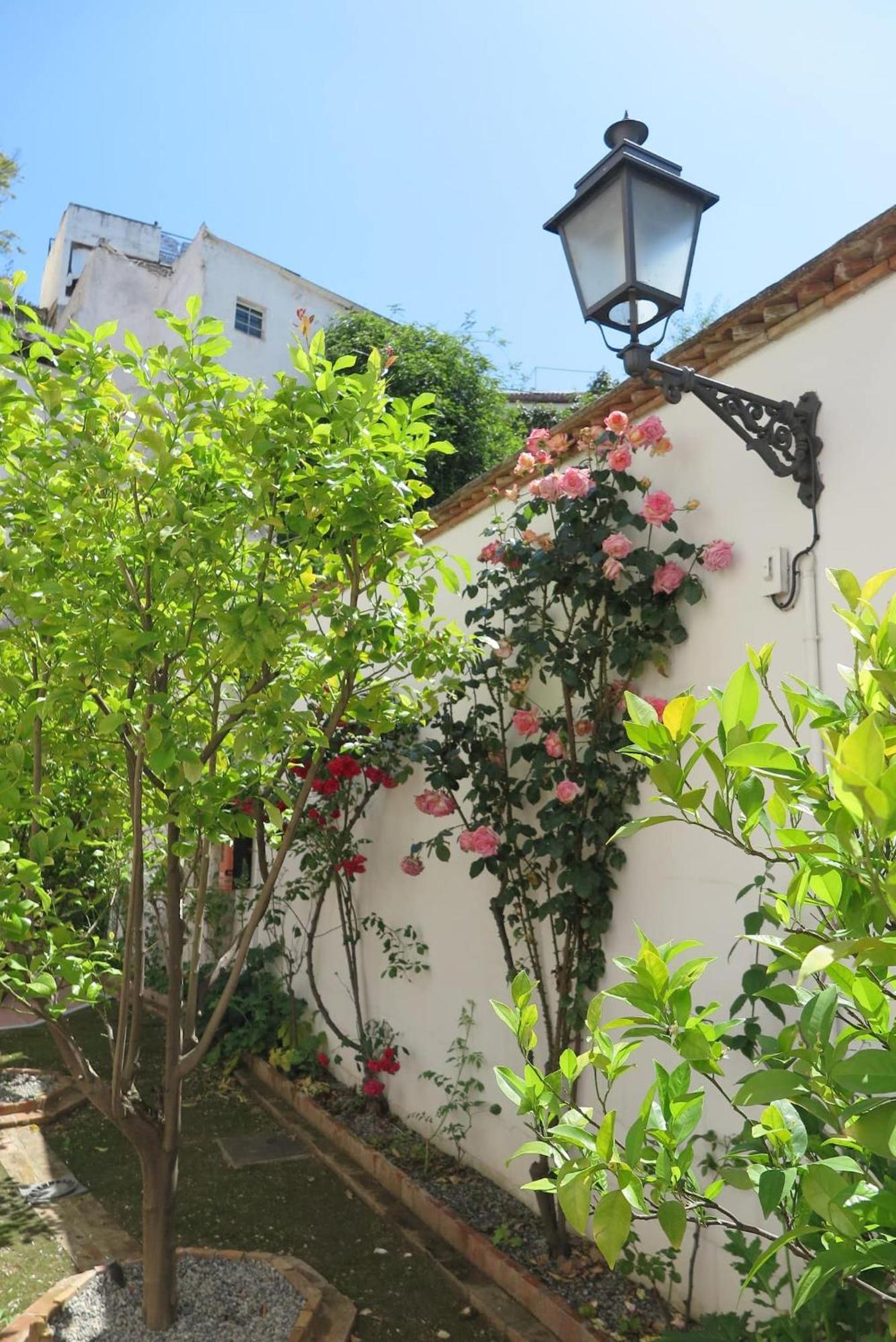 그라나다 Charming Albaicin Patio Flat Free Onsite Parking 아파트 외부 사진